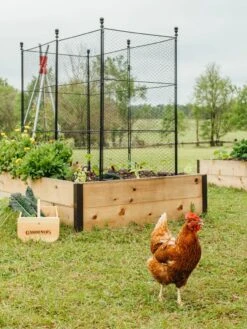 Tall Chicken Wire Critter Fence With Gate -Gardening Supplies 8611020 316 tif