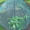 GardenSkill Pop N Crop Plant Umbrella 1 GardenSkill Pop N Crop Plant Umbrella -Gardening Supplies 8611105 01V tif