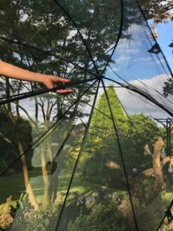 GardenSkill Pop N Crop Plant Umbrella 14 GardenSkill Pop N Crop Plant Umbrella -Gardening Supplies 8611105 09V tif