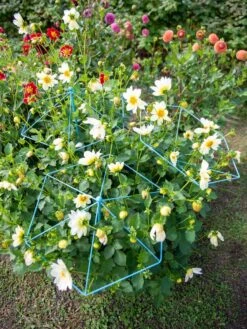 New Arrival -Gardening Supplies 8611129 004 tif