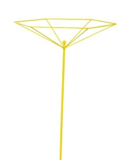 Parasol Plant Supports, Set Of 3 -Gardening Supplies 8611129 3844 tif