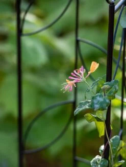 Gardening Supplies -Gardening Supplies 8611658 026 tif