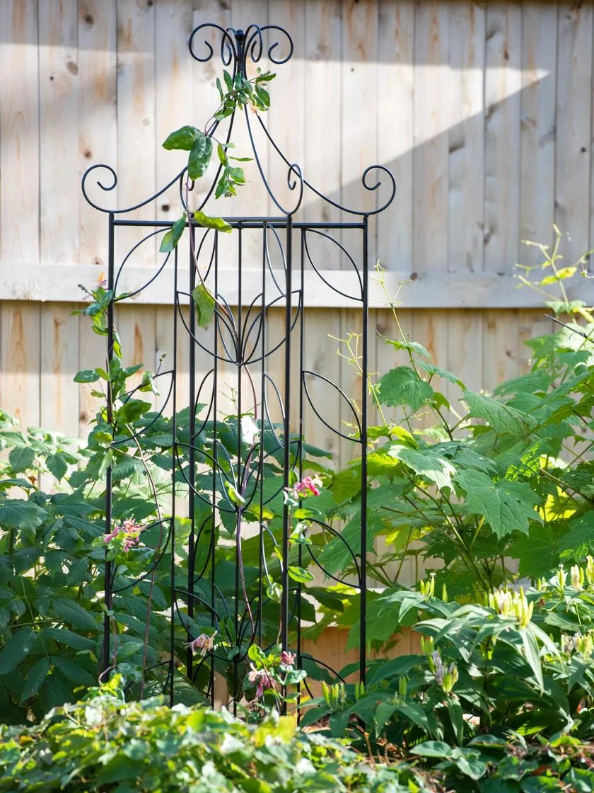 4 Sided Leaf Obelisk, 72" 3 4 Sided Leaf Obelisk, 72"