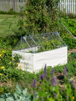 Crop Coop Covers Set 9 Crop Coop Covers Set -Gardening Supplies 8611698 005 tif