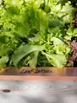 Re-Markable Raised Bed Trim 12 Re-Markable Raised Bed Trim -Gardening Supplies 8611757 326 tif