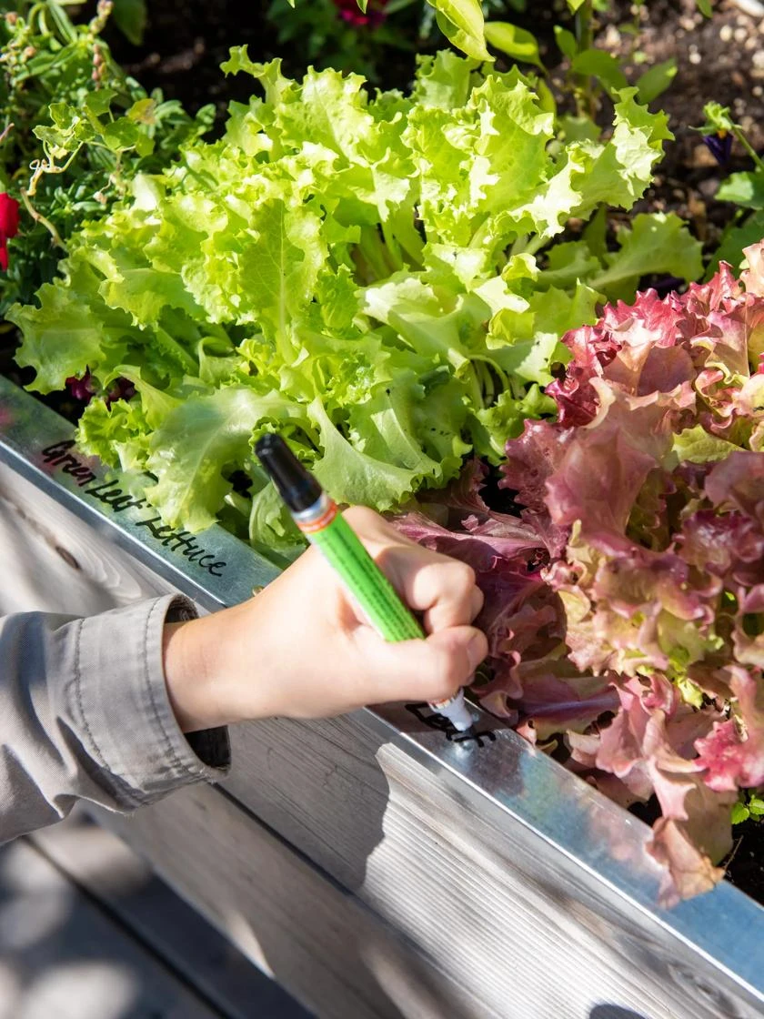 Re-Markable Raised Bed Trim 4 Re-Markable Raised Bed Trim - Image 2