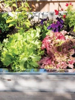 Re-Markable Raised Bed Trim 13 Re-Markable Raised Bed Trim -Gardening Supplies 8611758 306 tif