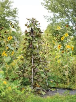 DIY Connector For Teepee Trellis -Gardening Supplies 8611896 062 tif