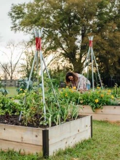 DIY Connector For Teepee Trellis -Gardening Supplies 8611896 38 tif