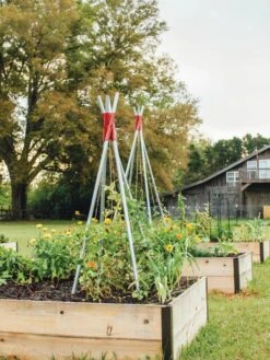 DIY Connector For Teepee Trellis -Gardening Supplies 8611896 71 tif