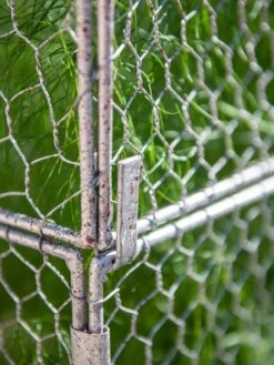 Chicken Wire Crop Coop Extension -Gardening Supplies 8611940 232 tif