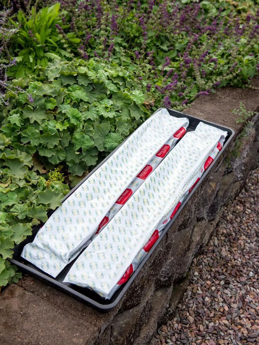 Berry Blend Coir Grow Bag, Set Of 2 3 Berry Blend Coir Grow Bag, Set Of 2