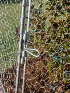 Chicken Wire Super Dome -Gardening Supplies 8611977 017 tif