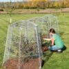 Chicken Wire Super Dome -Gardening Supplies 8611977 019 tif