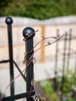 Essex Square Obelisk 12 Essex Square Obelisk -Gardening Supplies 8611984 278 tif