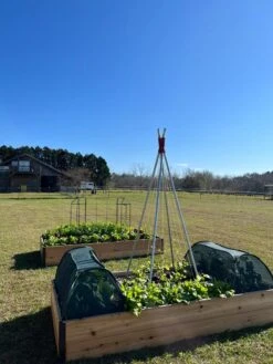 Insect And Pest Net Row Protector 11 Insect And Pest Net Row Protector -Gardening Supplies 8611985 04 tif