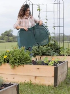 Insect And Pest Net Row Protector 12 Insect And Pest Net Row Protector -Gardening Supplies 8611985 8389 tif