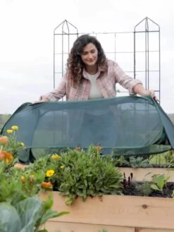 Insect And Pest Net Row Protector 13 Insect And Pest Net Row Protector -Gardening Supplies 8611985 8390 tif