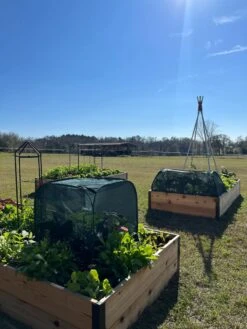 Pest Control Pop-Ups 15 Pest Control Pop-Ups -Gardening Supplies 8611989 05 tif