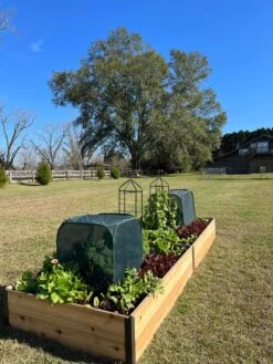 Pest Control Pop-Ups 14 Pest Control Pop-Ups -Gardening Supplies 8611989 08 tif