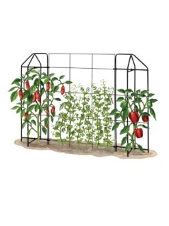 Zenith Trellis -Gardening Supplies 8612035 art tif