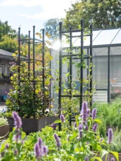 New Arrival -Gardening Supplies 8612046 346 tif