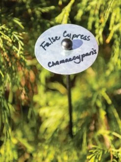 Re-Markable Plant Markers 32", Set Of 6