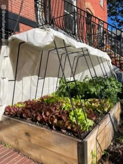 Cotton All Purpose Garden Cover 11 Cotton All Purpose Garden Cover -Gardening Supplies 8612816 01CUST