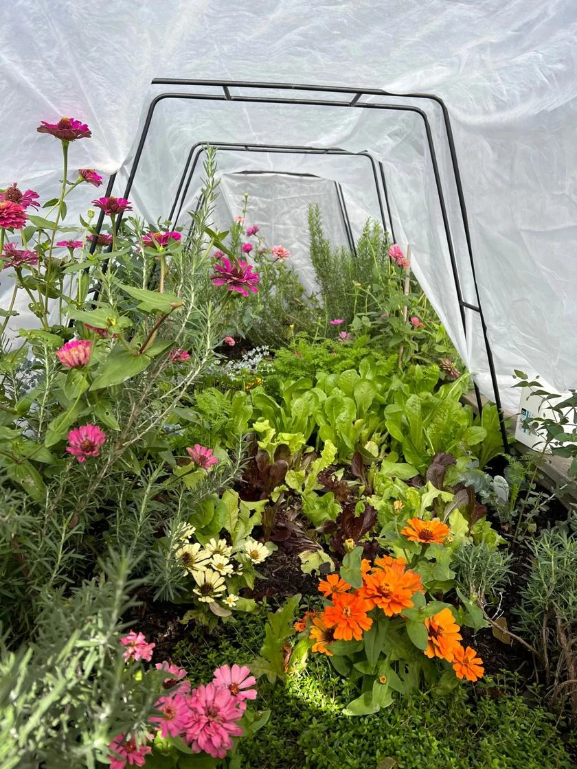 Zenith Garden Hoops, Set Of 4 7 Zenith Garden Hoops, Set Of 4 - Image 5