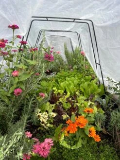 All-Purpose Garden Fabric 14 All-Purpose Garden Fabric -Gardening Supplies 8612816 01TEST