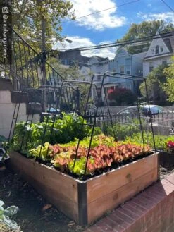 Zenith Garden Hoops, Set Of 4 16 Zenith Garden Hoops, Set Of 4 -Gardening Supplies 8612816 02CUST