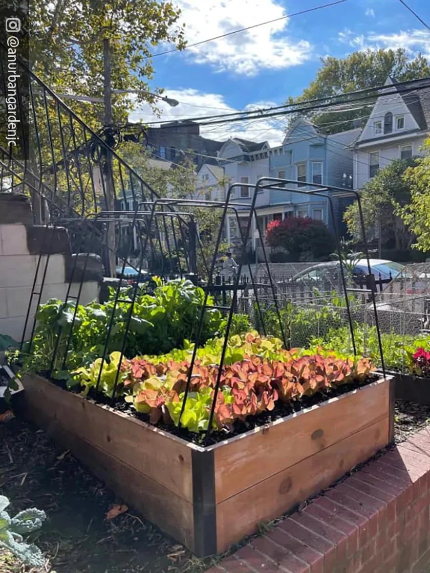 Zenith Garden Hoops, Set Of 4 9 Zenith Garden Hoops, Set Of 4 - Image 7