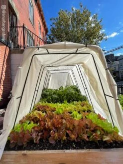 Cotton All Purpose Garden Cover 12 Cotton All Purpose Garden Cover -Gardening Supplies 8612816 03CUST