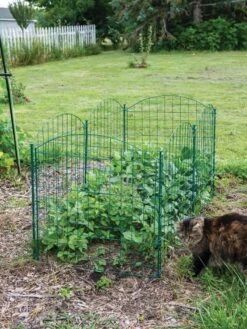 6 Panel Critter Fence With Gate -Gardening Supplies 8612967 2570 tif