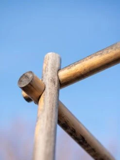 Bamboo Tomato Cages, Set Of 3 19 Bamboo Tomato Cages, Set Of 3 -Gardening Supplies 8613143 0385