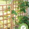 Bamboo Zig-Zag Trellis 24" X 36" 1 Bamboo Zig-Zag Trellis 24" X 36" -Gardening Supplies 8613151 15