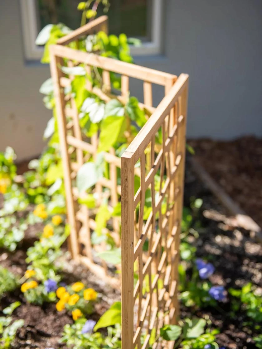 Bamboo Zig-Zag Trellis 24" X 36" 5 Bamboo Zig-Zag Trellis 24" X 36" - Image 3
