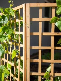 Bamboo Zig-Zag Trellis 24" X 36" 18 Bamboo Zig-Zag Trellis 24" X 36" -Gardening Supplies 8613151 6491
