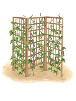 Bamboo Zig-Zag Trellis 24" X 36" 20 Bamboo Zig-Zag Trellis 24" X 36" -Gardening Supplies 8613151 art flat