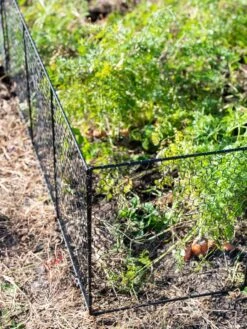 Chicken Wire Critter Fence, 16" High -Gardening Supplies 8613249 0309
