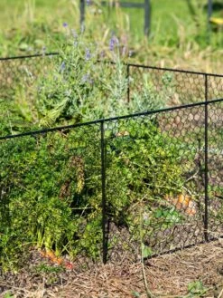 Chicken Wire Critter Fence, 16" High -Gardening Supplies 8613249 0352