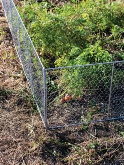 Chicken Wire Critter Fence, 16" High -Gardening Supplies 8613249 0358