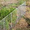 Chicken Wire Critter Fence, 16" High 2 Chicken Wire Critter Fence, 16" High -Gardening Supplies 8613249 0368 chicken wire critter fence 16 inches high