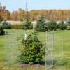 Tall Chicken Wire Critter Fence Extension Panel, Set Of 2 2 Tall Chicken Wire Critter Fence Extension Panel, Set Of 2 -Gardening Supplies 8613260 0036