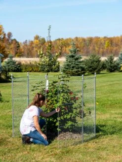 Tall Chicken Wire Critter Fence Extension Panel, Set Of 2 -Gardening Supplies 8613260 0044 1