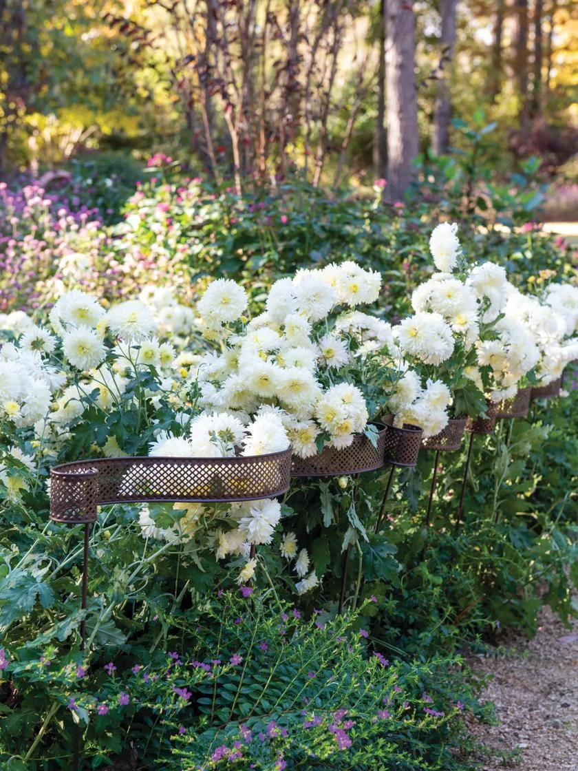 Scroll Linking Stakes, Set Of 3 4 Scroll Linking Stakes, Set Of 3 - Image 2