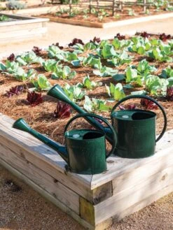 Long Reach Watering Can, Large 12 Long Reach Watering Can, Large -Gardening Supplies 8613346 0148 1