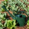 Long Reach Watering Can, Large -Gardening Supplies 8613346 0149