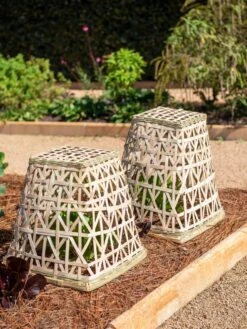 Bamboo Cloche, Set Of 2 14 Bamboo Cloche, Set Of 2 -Gardening Supplies 8613351 0150 bamboo cloche set of 2