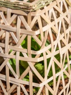 Bamboo Cloche, Set Of 2 19 Bamboo Cloche, Set Of 2 -Gardening Supplies 8613351 0153